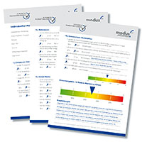 Preis 1 bis 3: 10 Punkte Marketing-Check oder Premium-Suchmaschinenoptimierung